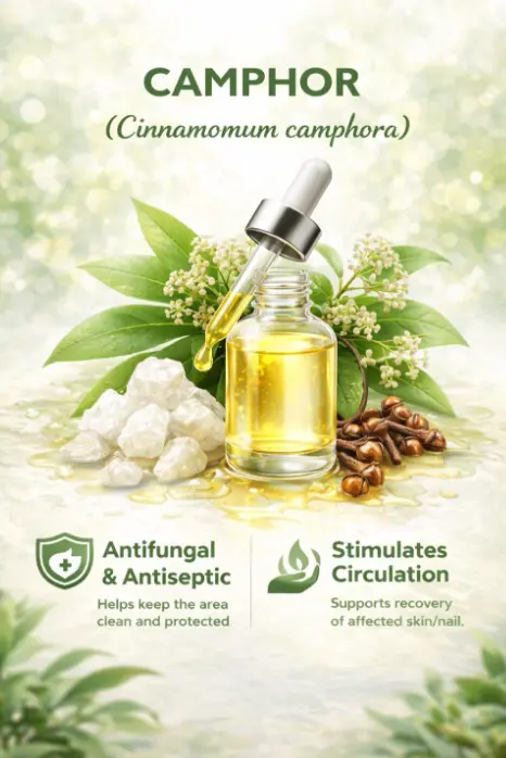 Seller artwork for camphor associated with NailsCleanPro